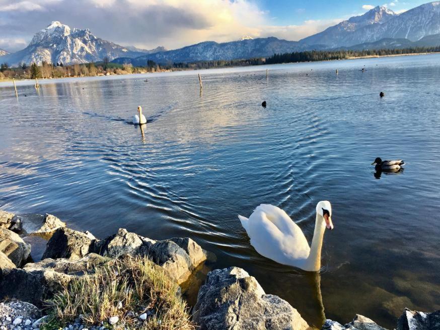 Fischer Am 3* Füssen